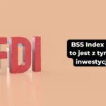 BSS Index 2024 – jak to jest z tymi nowymi inwestycjami BSS